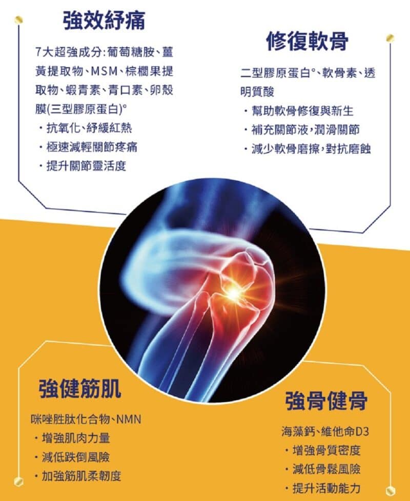 WholeLove MED愛完全關節勁